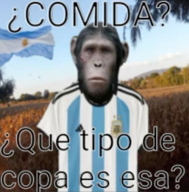 reehtna's tweet photo. @one_dogma @Alexmorettibr @httpsrealitys @boyfrompara argentinos são colonizados por macacos https://t.co/GbwO7OwOrV