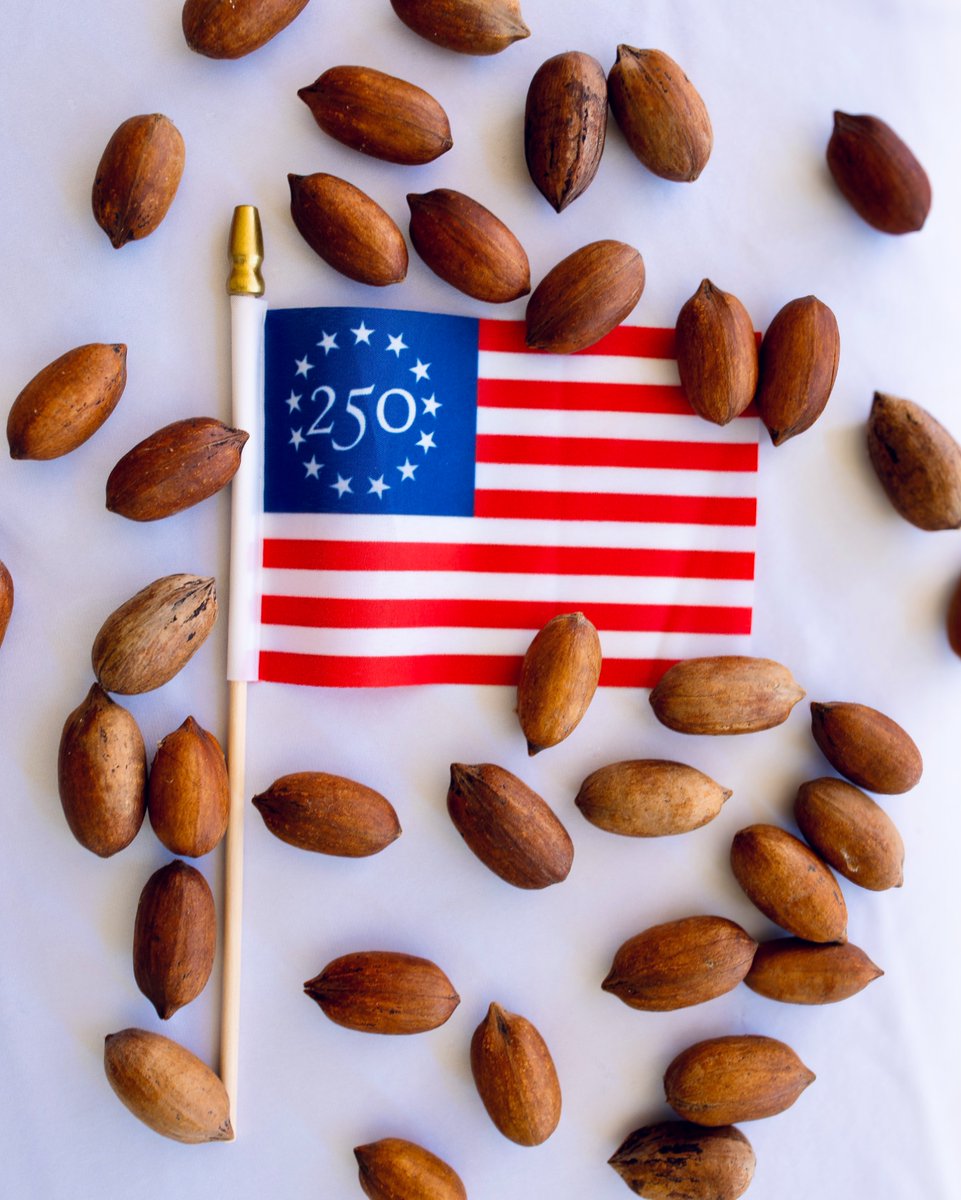 GPGA_'s tweet photo. 250 years strong 🇺🇸

Today we celebrate the land of the free, the home of the brave, and a legacy built on courage, sacrifice, and opportunity. Happy Fourth of July! ❤️🤍💙 https://t.co/94c25zm2Ey