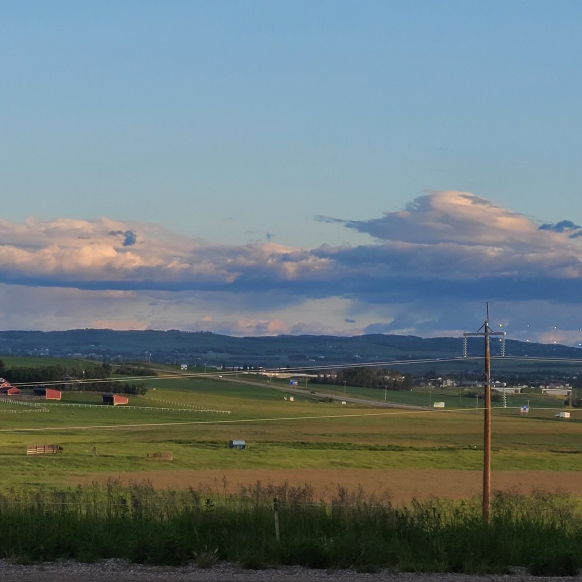 CaravanCalgary tweet picture