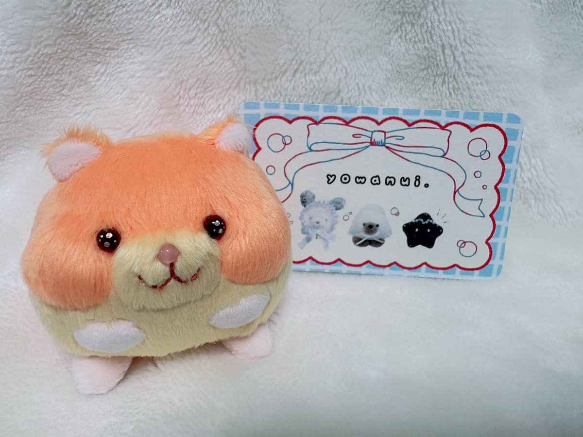 shi_ma_zzz's tweet photo. ぱげまるちゃんが駆け寄ったのは
よわ様（@yowanui ）のプレゼント企画でお迎えした珍ハムちゃん🐹
少し寂しげだったぱげまるちゃんがお目目キラキラさせてとーっても嬉しそうで本当によかった♡見ているだけで幸せ♡
よわさん素敵な企画ありがとうございます https://t.co/BEsYHJqlHb