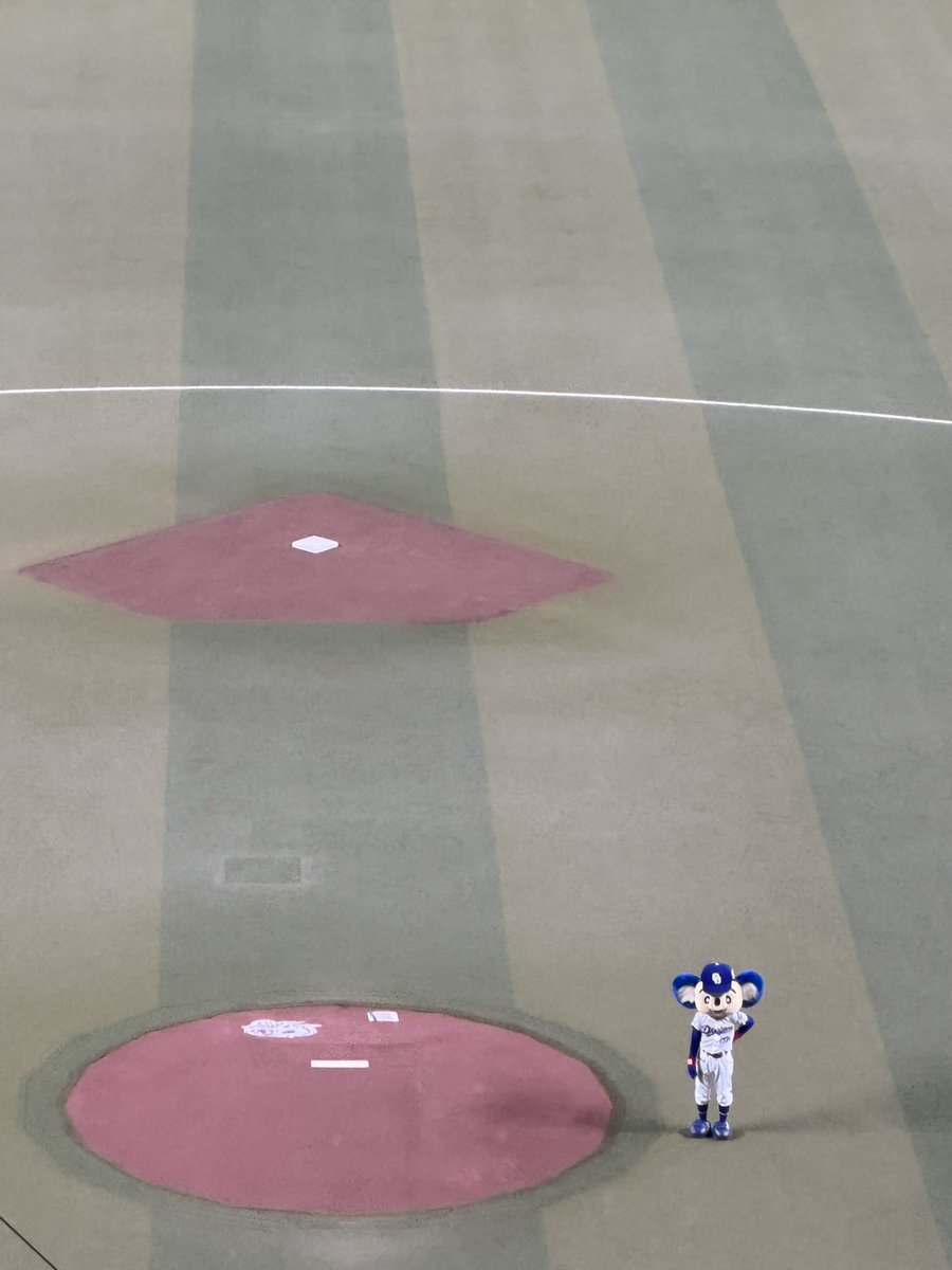 ppprrrm's tweet photo. 今日は ココ⚾️🐨
 #どらほー
 #ウワサのクロドアラ🐨はじめまして https://t.co/WJRWeNfYf2
