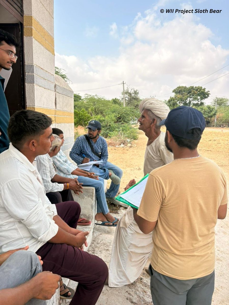 slothbear2026's tweet photo. 🐻 Learning from Communities, Understanding Sloth Bears

As part of the #WIIProjectSlothBear, interactions with local communities around Sundha Mata Conservation Reserve, Rajasthan provided valuable insights into how people understand and live alongside Sloth Bears.

These conversations revealed local knowledge on bear movement patterns, seasonal activity, feeding habits, and the times and places where encounters are most likely.

Such local knowledge, built over years of coexistence, offers an important perspective that complements scientific research and helps strengthen conservation planning. 🌿🐾

#ProjectSlothBear #WIIProjectSlothBear #SundhaMata #HumanBearCoexistence #TraditionalKnowledge #SlothBearConservation

@moefcc @CentralIfs @NationalCAMPA @wii_india @SACONCoimbatore @wii_eiacp @rameshpandeyifs @GobindsagarBha1 @RuchiBadola2 @CRamesh_WII @BivashPand34733 @Kramesh95 @amitwii @UpmaManral @ashishjangid22 @avinashyadv95 @utkarsh41995  @kaushikforwild @Hairypotter0777 @Sindhoora_2001 @Suraj_Chauhan31 @niranjanKv2770 @Kavyak0204 @MitaliJadh34762
