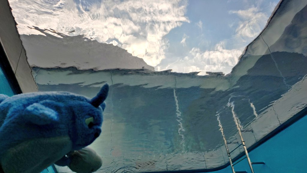 teppentotoro's tweet photo. 【金沢21世紀美術館】

金沢21世紀美術館の名物スイミング・プール🏊️

一見普通のプールに見えますが…
なんとここは、濡れずに中に入れる不思議なプール

ここならトトロでも泳ぐことができますね。

#金沢
#金沢21世紀美術館 https://t.co/Ruq6nkgVsq