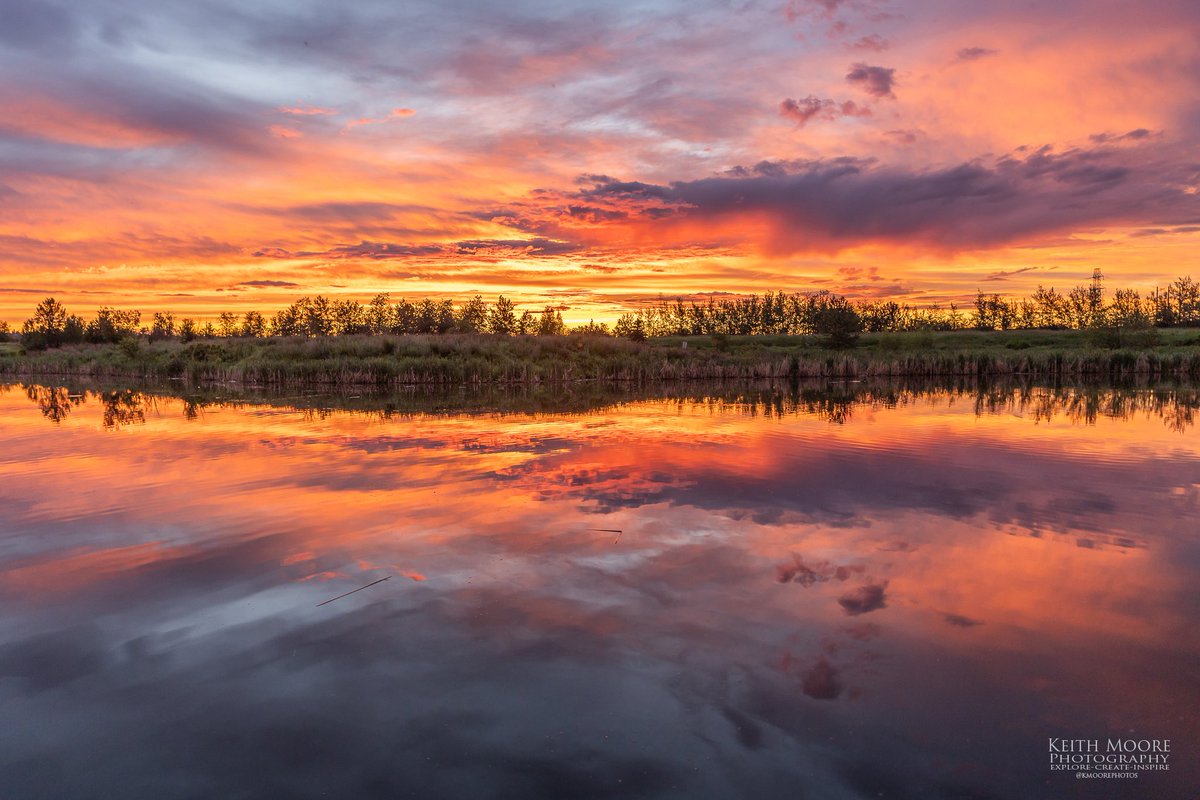 kmoorephotos's tweet photo. A few photos from this morning’s sunrise at Hermitage Park!! Just me, a few birds/ducks and about 1 billion mosquitoes!! https://t.co/ydtswGOUgq