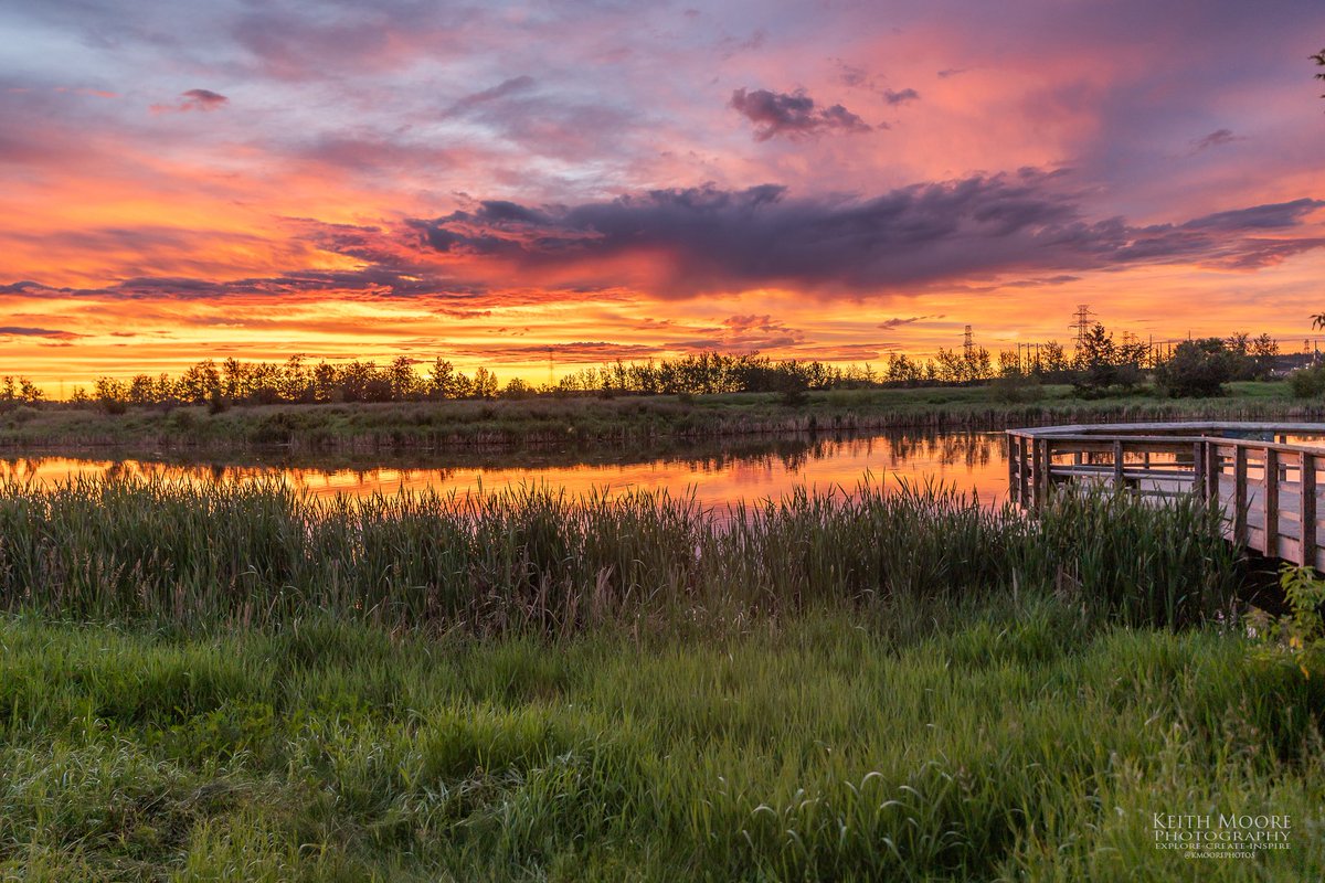 kmoorephotos's tweet photo. A few photos from this morning’s sunrise at Hermitage Park!! Just me, a few birds/ducks and about 1 billion mosquitoes!! https://t.co/ydtswGOUgq