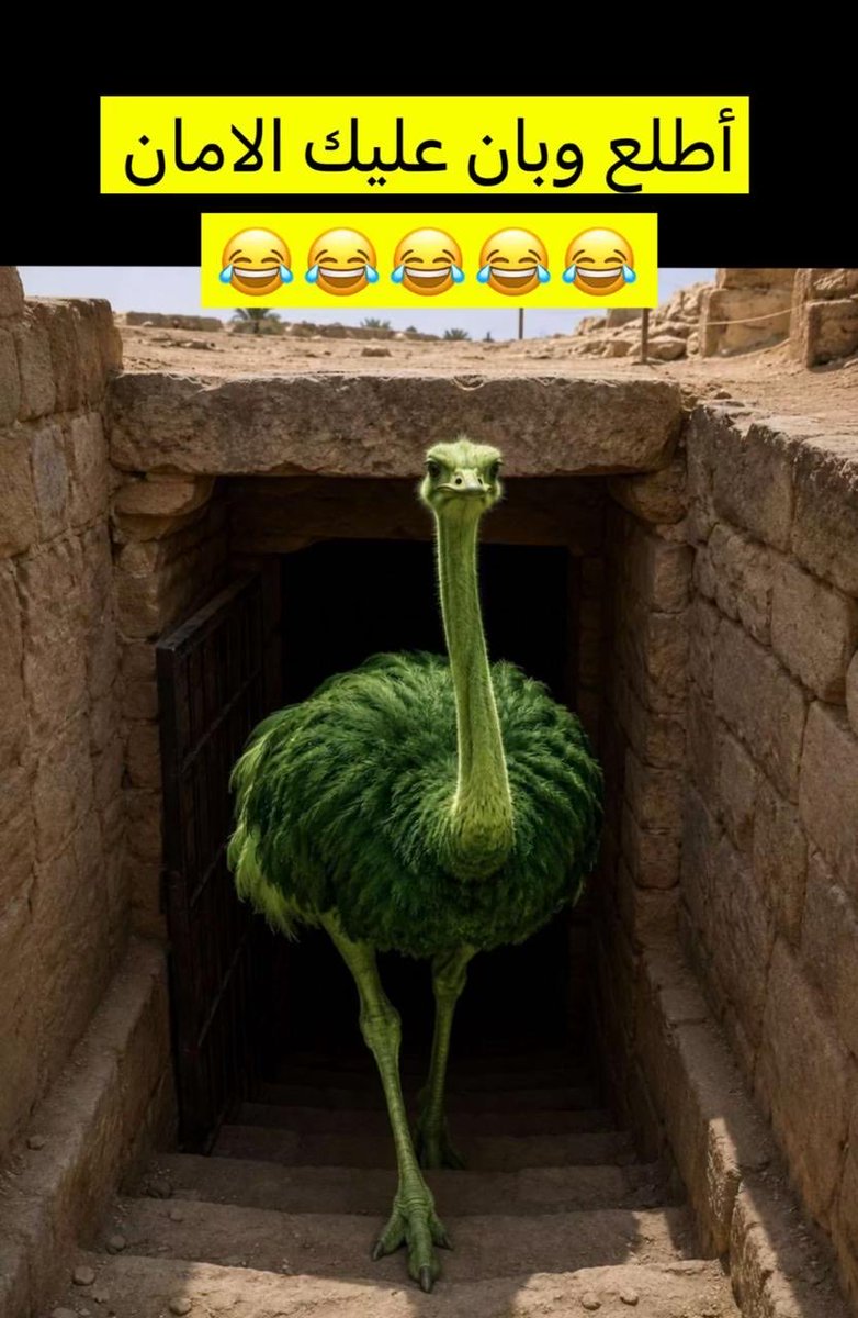 Frogg2030's tweet photo. @shaaee_ee وقت الشدايد https://t.co/yFK7kOb0ub
