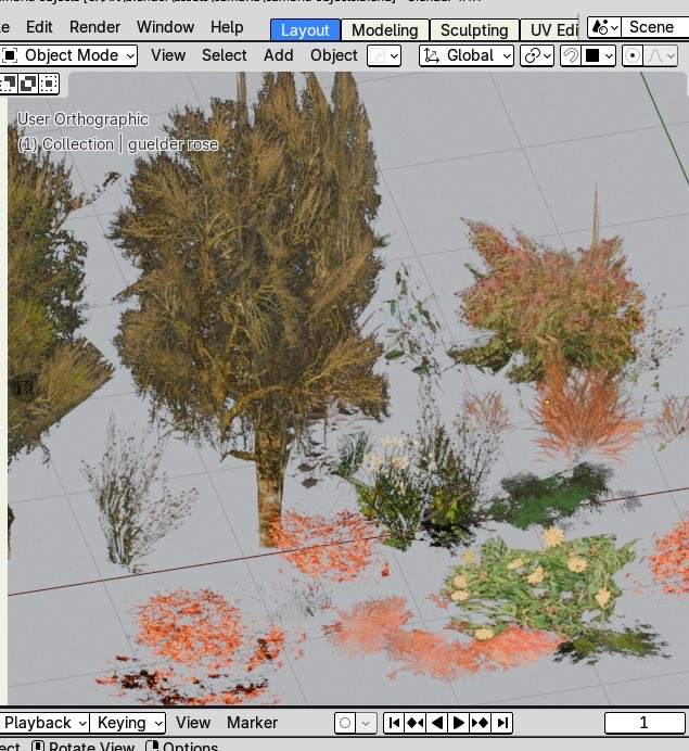 caneijur's tweet photo. Bury me in crunchy foliage https://t.co/KrBE5XTYBb