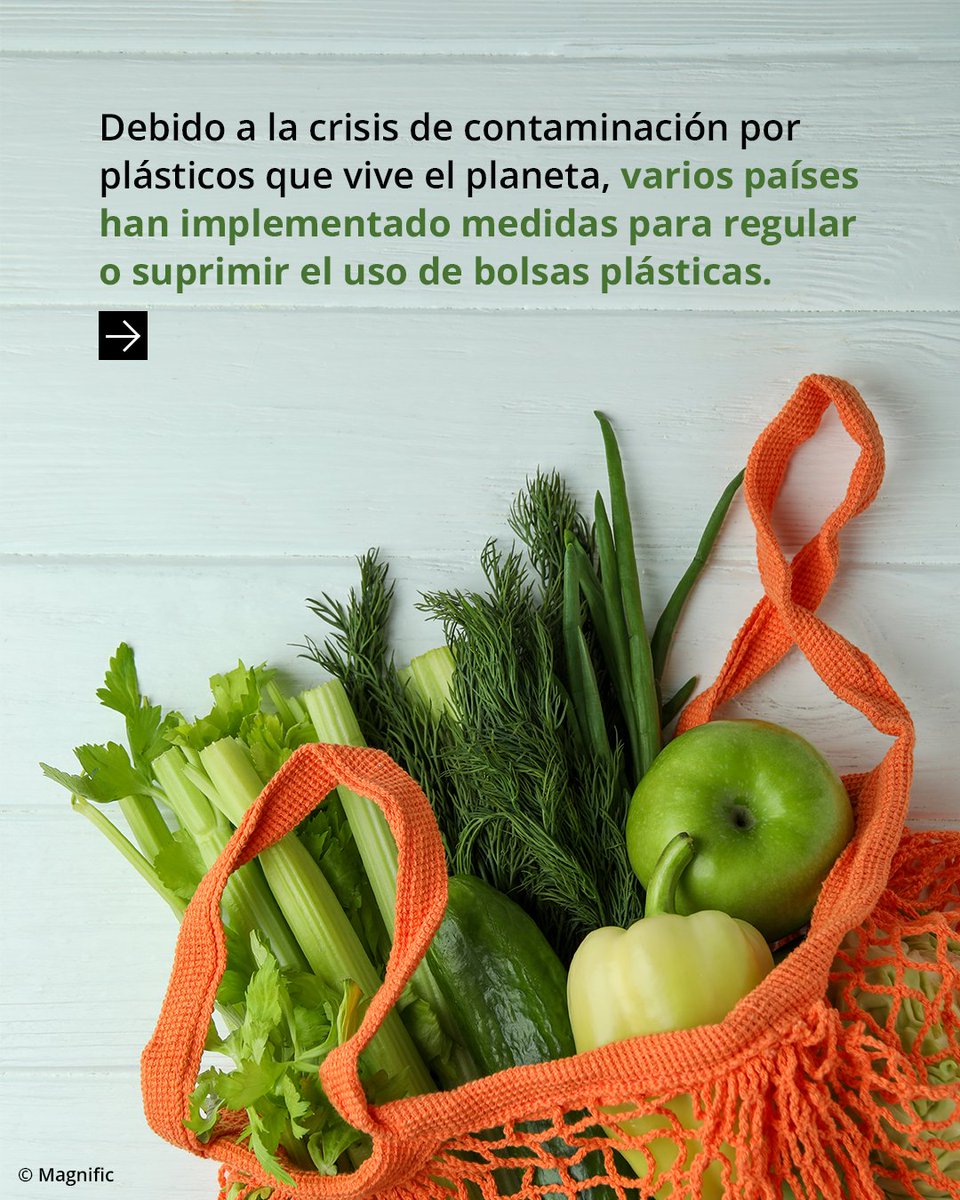 WWF_LAC's tweet photo. Más de 100 países ya están tomando medidas contra las bolsas plásticas.

 Gracias a estas prohibiciones y tasas, la contaminación en las costas puede llegar a disminuir hasta en un 47 % . https://t.co/k78wekTcVN