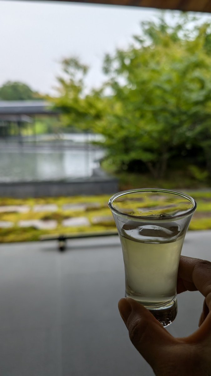 step_k3's tweet photo. 晴れ女なので雨のお出かけは少ないから嬉しい。しとしと降る雨がより一層風情を出して良い。日本庭園はカンカン照りより雨。苔の青さよ。 https://t.co/PNZUJcX0D5