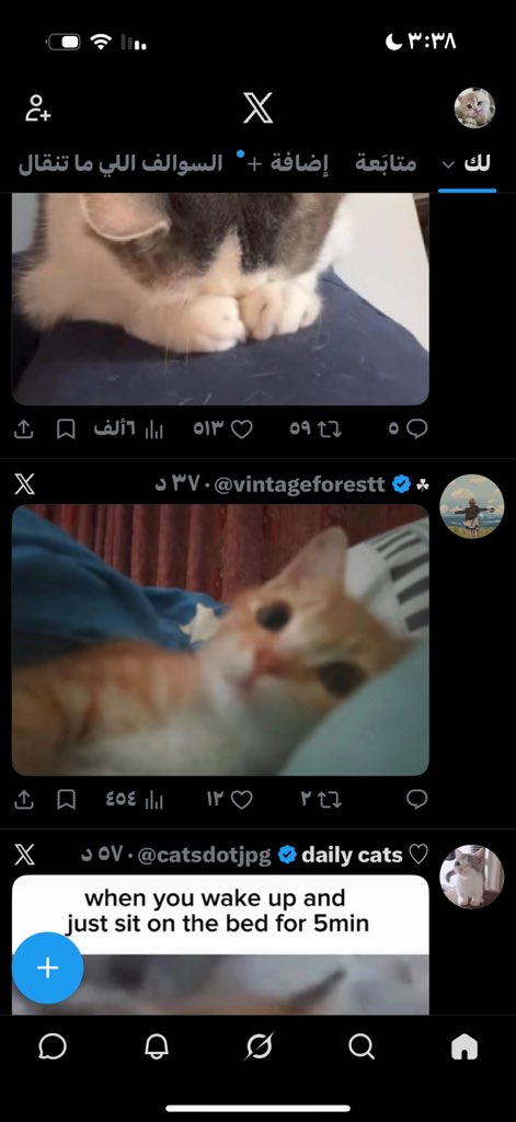 noni 🐱 tweet media