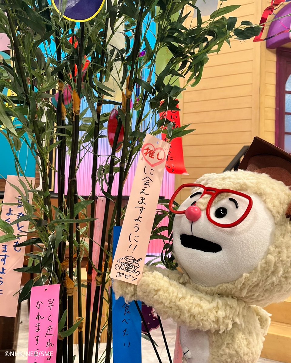 ほほーい！！ポピンです🎓✨ 今日は7月7日、七夕の日🎋 みんなはどんな