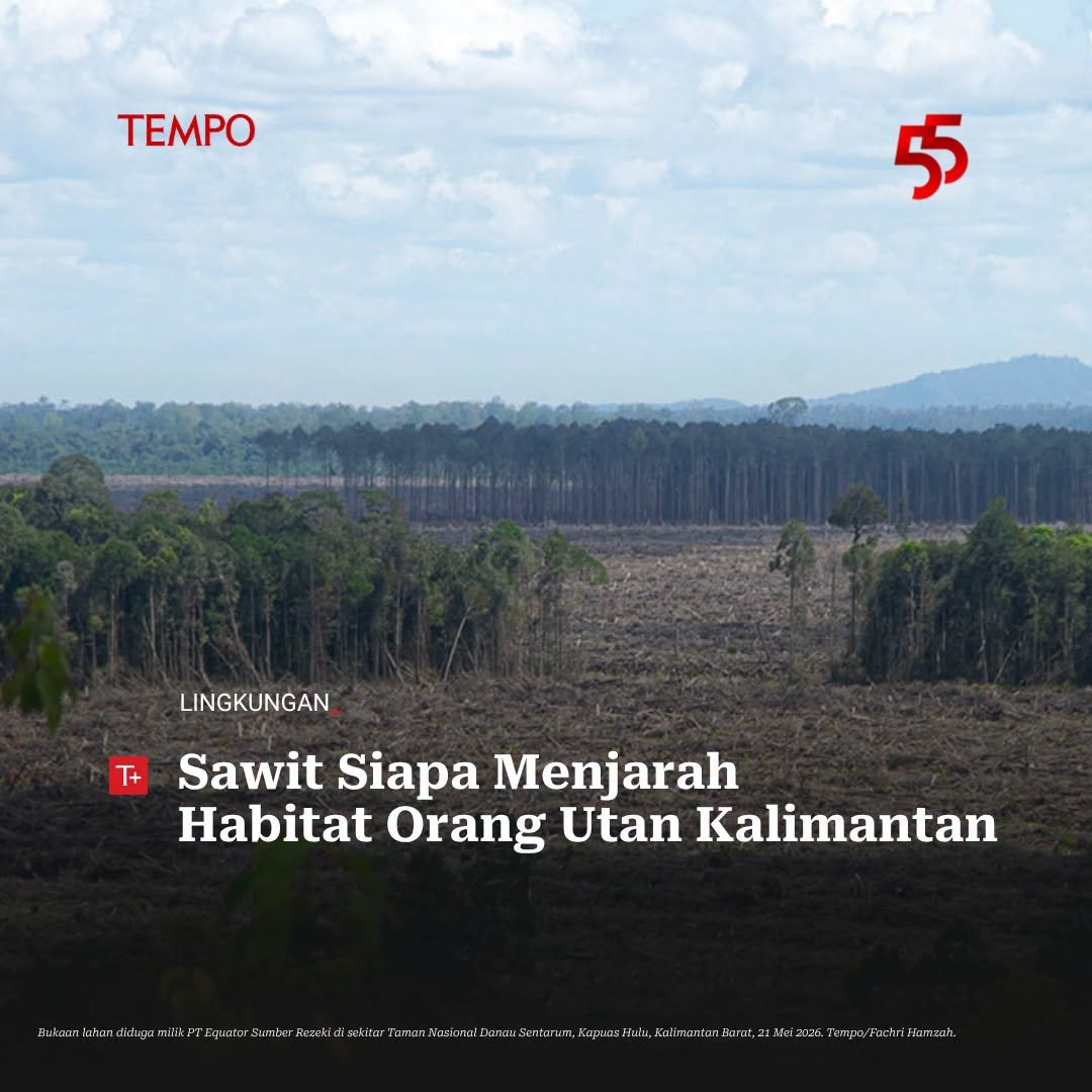ardisatriawan's tweet photo. Kalau nyembelih tapir aja bisa dihukum.

Yang ngilangin orang utan sekalian tanah dan rumah mereka diapain? https://t.co/l87jc6Ofjd