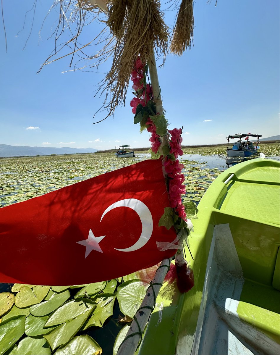 Fulyay45's tweet photo. Nilüfer zamanı🪷
📍Çivril/Denizli https://t.co/pYfHPiK27e