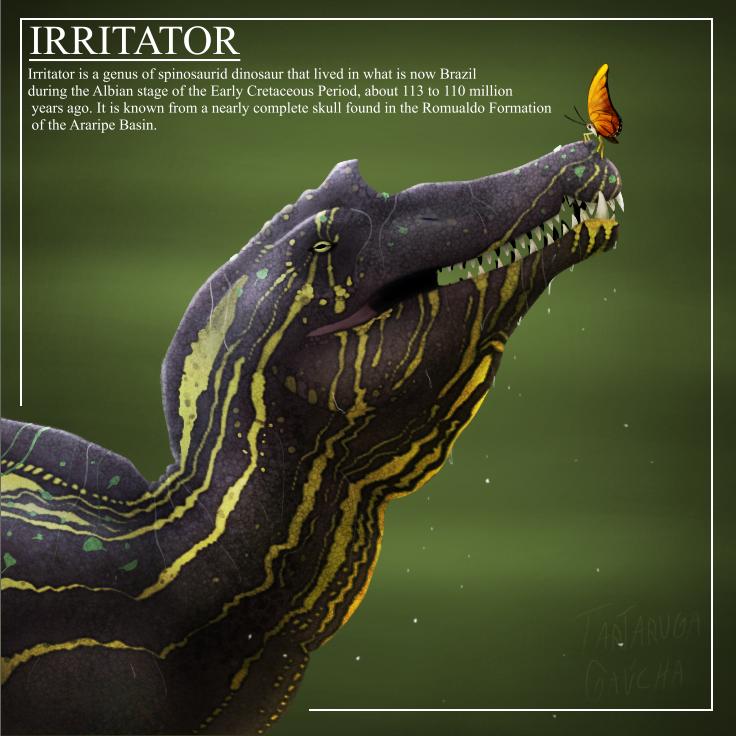 TartaGauchaPro's tweet photo. Irritator

#paleoart #dinosaur #artㅤㅤㅤㅤ https://t.co/4AauESNEUo
