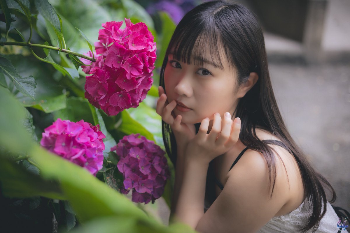 PHOTO__HON's tweet photo. 『 紫陽花が咲く頃 』  #04

#みゆ湯同好会♨️ 

※掲載許可確認済み https://t.co/S3thZNHB5S