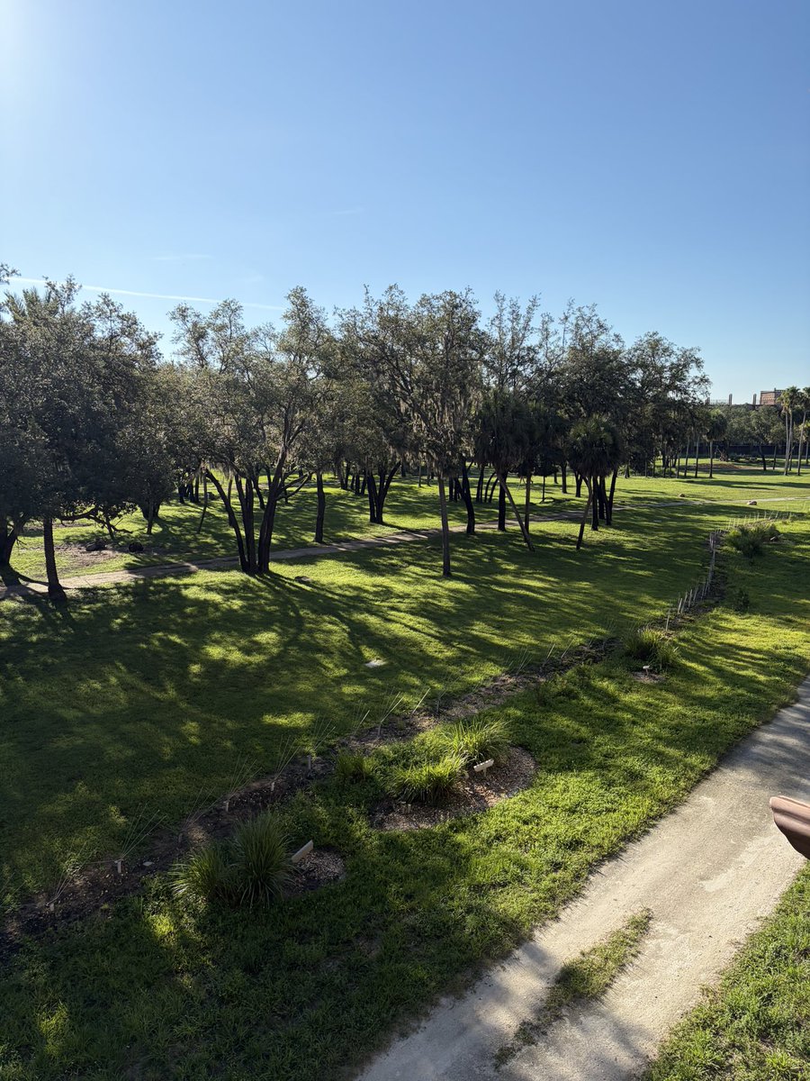 PaulsRandomness's tweet photo. Having a coffee, sitting outside on the balcony at Animal Kingdom Lodge. There is a giraffe in there, somewhere. Rather peaceful having my coffee during this time. It’s also already 84 degrees. How do people do this lol #Disney #StayGlued https://t.co/LyI8B4Kc8U