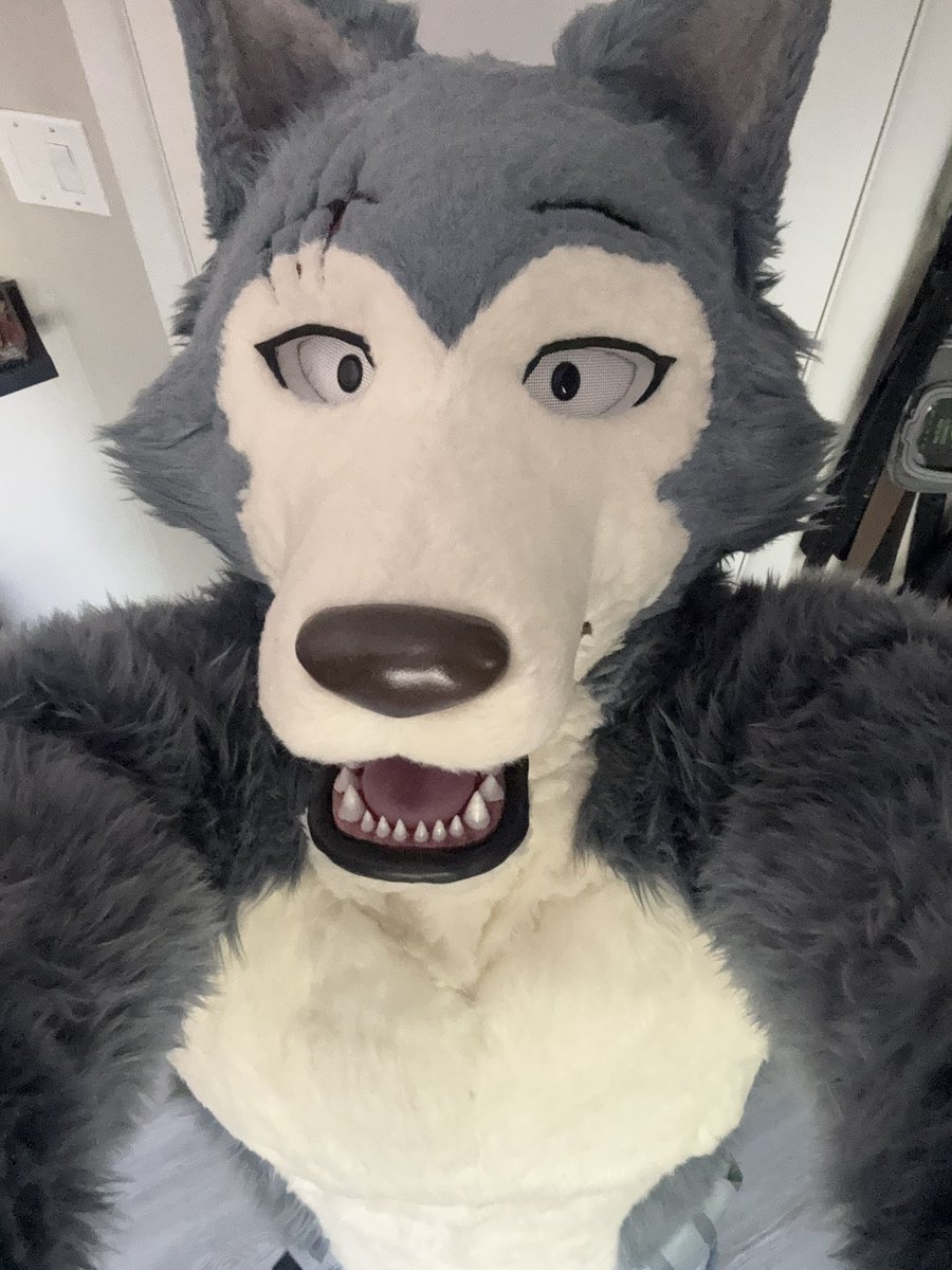 differmitt's tweet photo. Happy 4th of July! Who wants to come over and eat five hotdogs in one sitting while blowing stuff up with this big ol mutt? https://t.co/dmZWyhvVcF