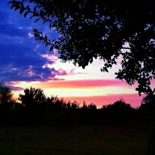 Mysongshari's tweet photo. #somethinglovely #landthatilove #america #americaGodShedHisFavoronthee #GodPlacedmehere #andimThankful #Hecouldhaveplacedmeinsweden:) #orinthesouthoffrance:) #bothequallylovely #buthereiaminamerica:) #prayingforAllmenEverywhere #MessiahComing #lookupYourDeliveranceDrawsNear #john https://t.co/zPm3Jm6DCG