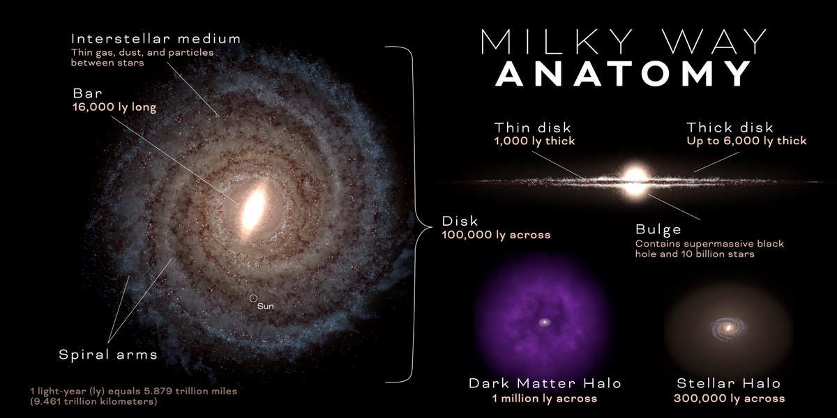 AstronomyBit's tweet photo. Milky Way Anatomy

📷 NASA https://t.co/AxTlZqmTRR