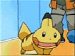 pokemonjewels's tweet photo. pikachu imitating mudkip https://t.co/6h5Rv8uMce