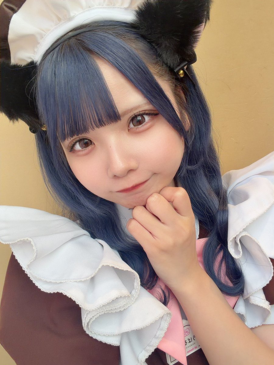 maid_uparun's tweet photo. 🐈‍⬛💙 https://t.co/T8ghkV39bA