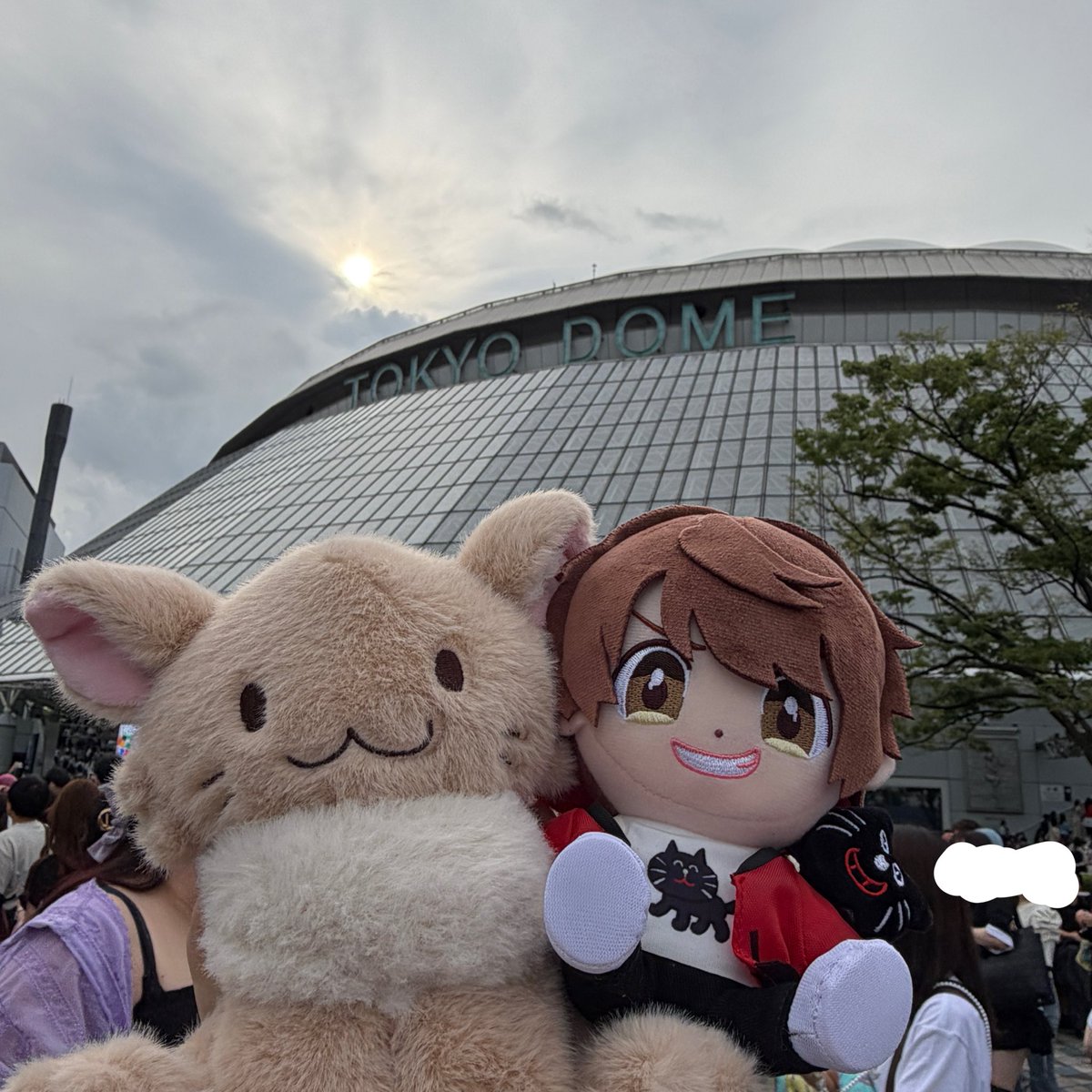 chie_syi's tweet photo. 楽しかったー！！
大きい会場の良さ感じた🫶🏻 https://t.co/hbiDU3EYh8