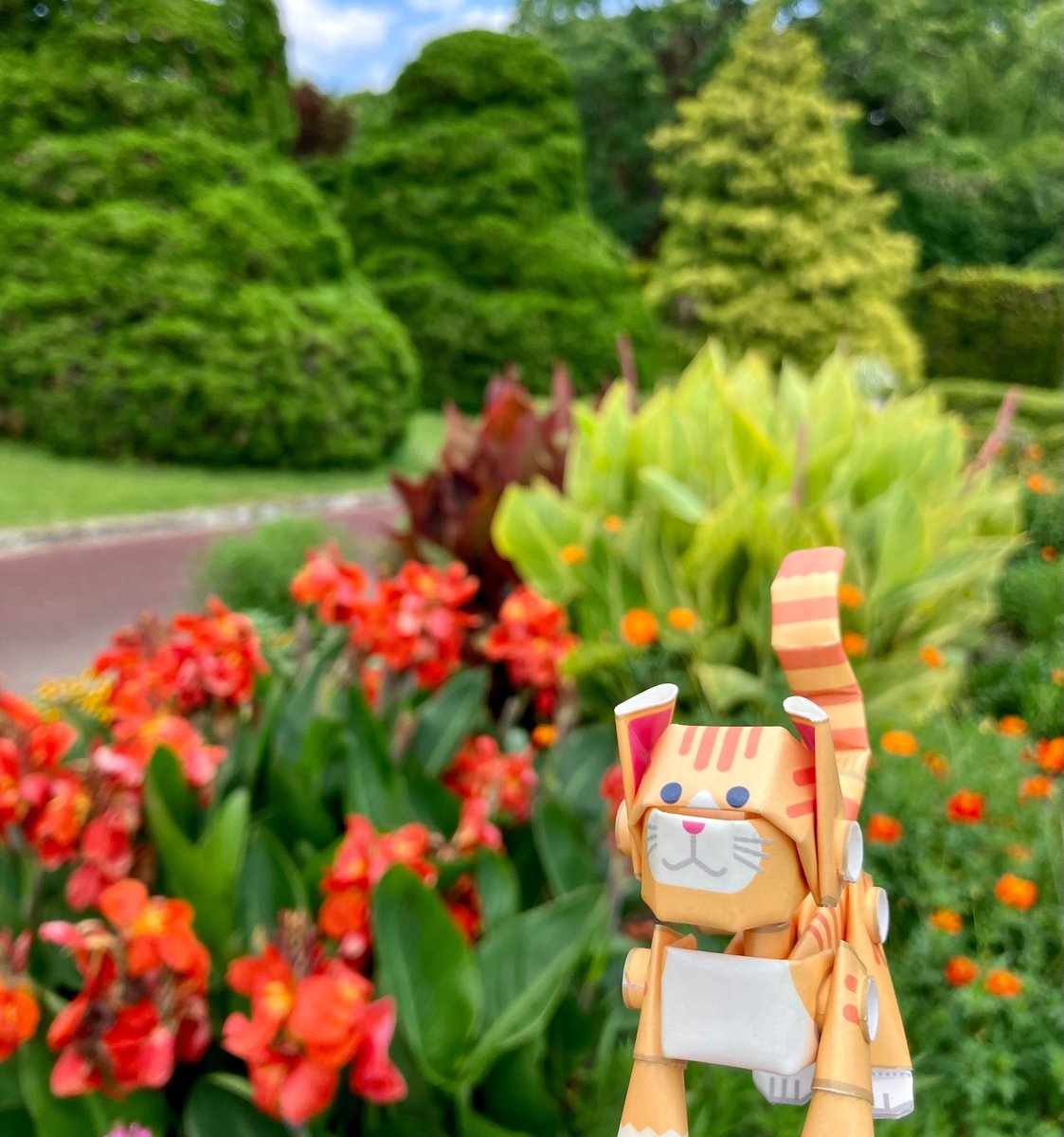 PIPEROID_jp's tweet photo. https://t.co/D37eAlqWw1