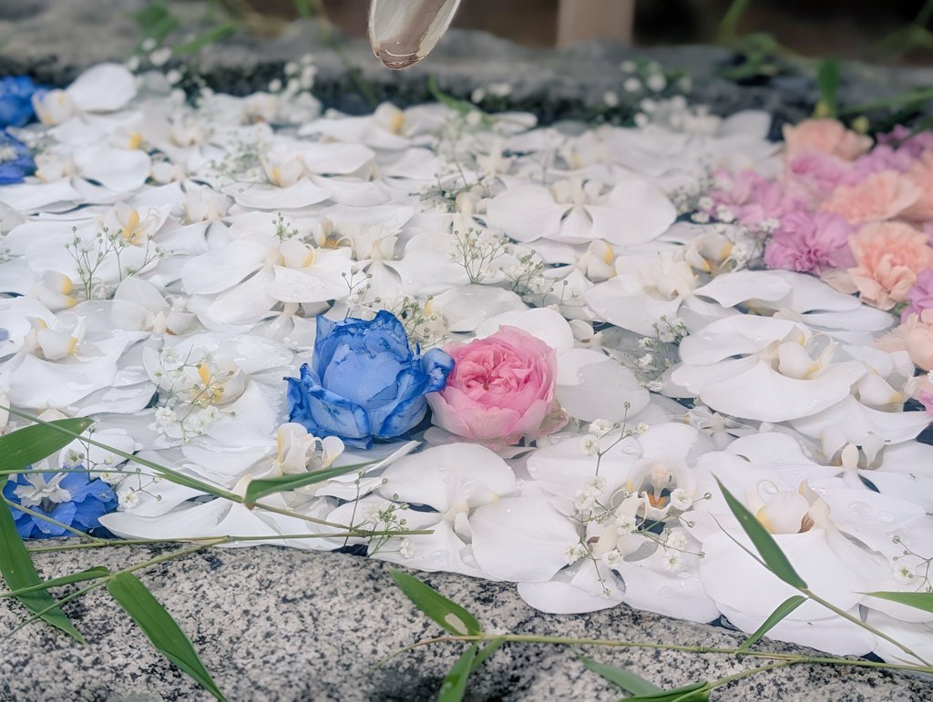 sea530_cr's tweet photo. 浄誓寺の花手水第2弾です。少し私が手を加えてみました。織姫様と彦星様をイメージ。1年に1度天の川の真ん中で出会えた感じです😊私達も毎年、七夕には天の川に架かる橋の端と端に立ちちょうど真ん中で出会います。まるで織姫様と彦星様。大阪には天の川という名前の川があります。素敵でしょ✨️ https://t.co/kbYneqsMP3