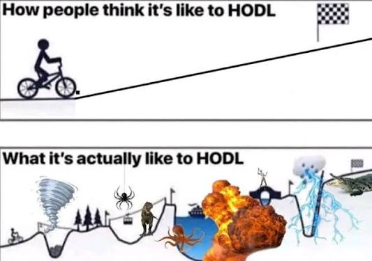 hodl2013's tweet photo. One of the oldest HODL memes found on the web, still reigns true until this day.

HODL is not a straight path to success, it's the ability to ignore the noise with the help of conviction until you arrive at your destination.

Not everyone will make it until the end, but will you? https://t.co/h007EcP2WP