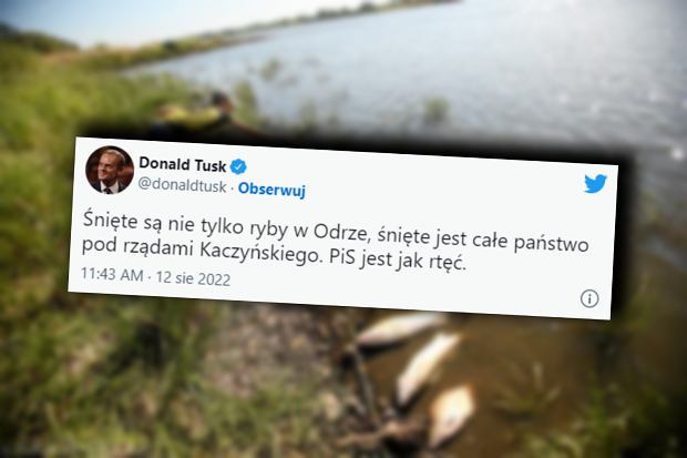 HolinkaPis's tweet photo. Karma wróciła Tusk ! https://t.co/gAYr5Yz1io