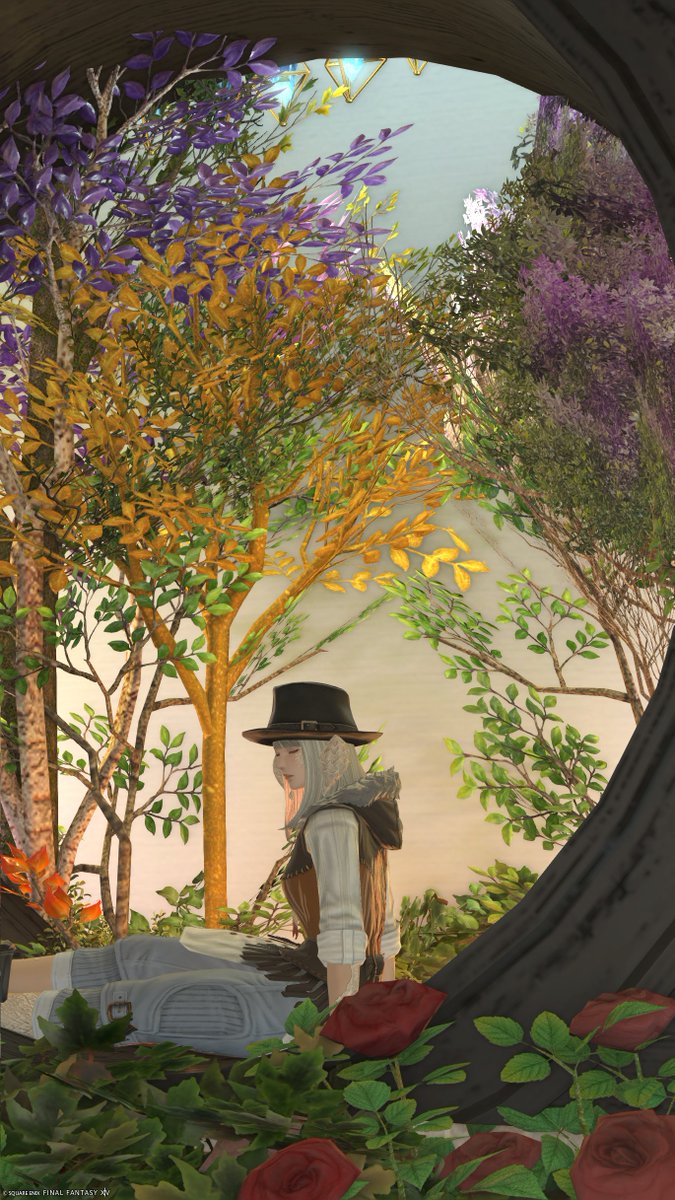 ff14pst's tweet photo. 背景のグラデーション、ちょっとずつ出来るようになってきた
植物生やさない方がきれいに映るだろうけど、モサモサするの大好きだから仕方ない https://t.co/zEfPbwV0n6