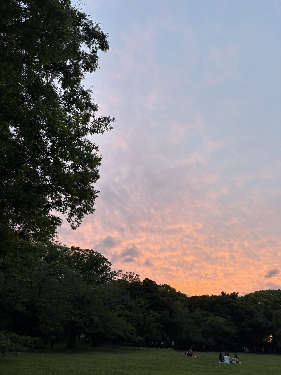 hinmi5's tweet photo. やっぱり人が好きです。今日はとっても良い日でした。 https://t.co/8TfOKR2Xpl