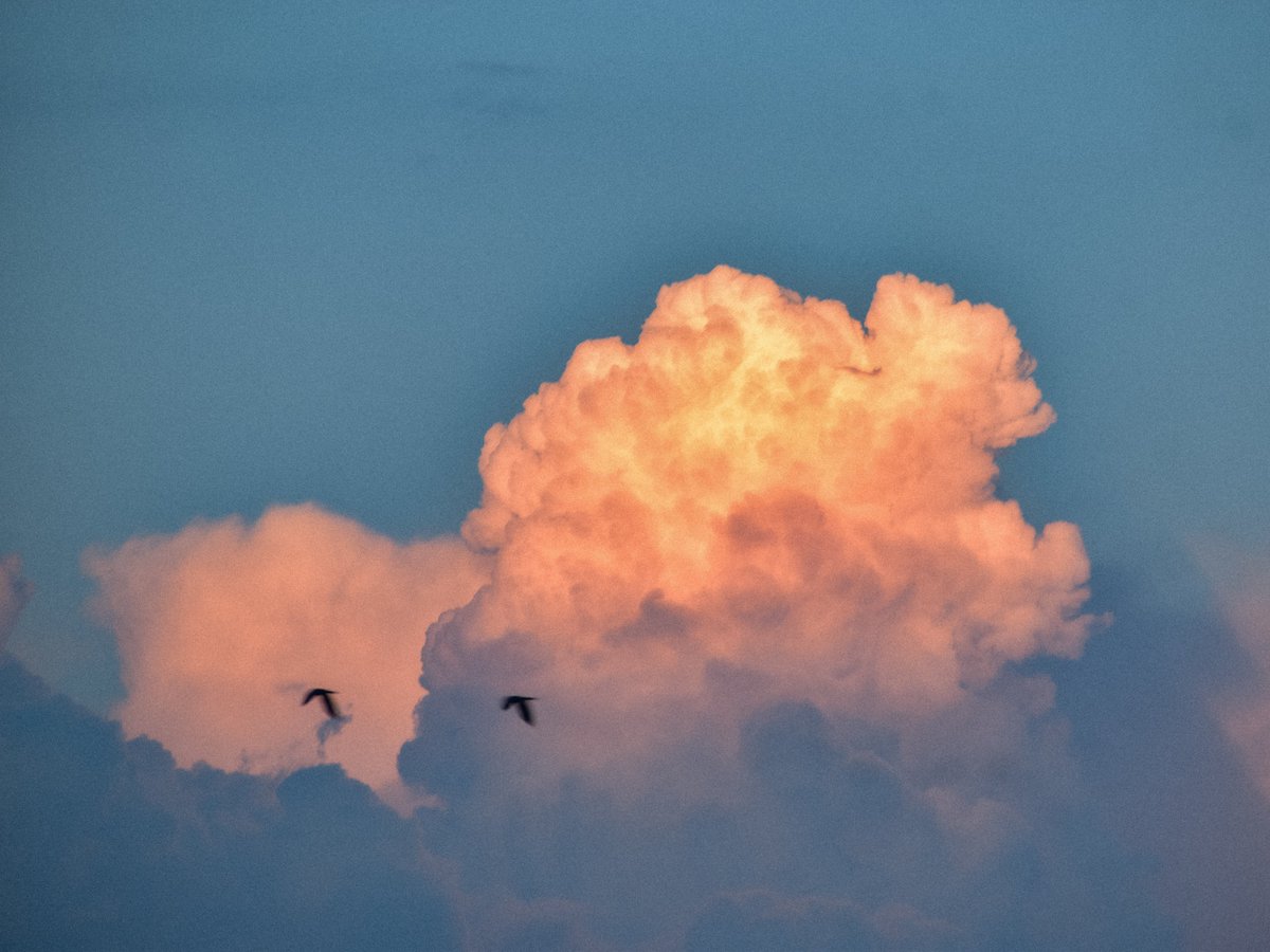 iammirauqib's tweet photo. Cloud therapy https://t.co/V7faiUgRGd