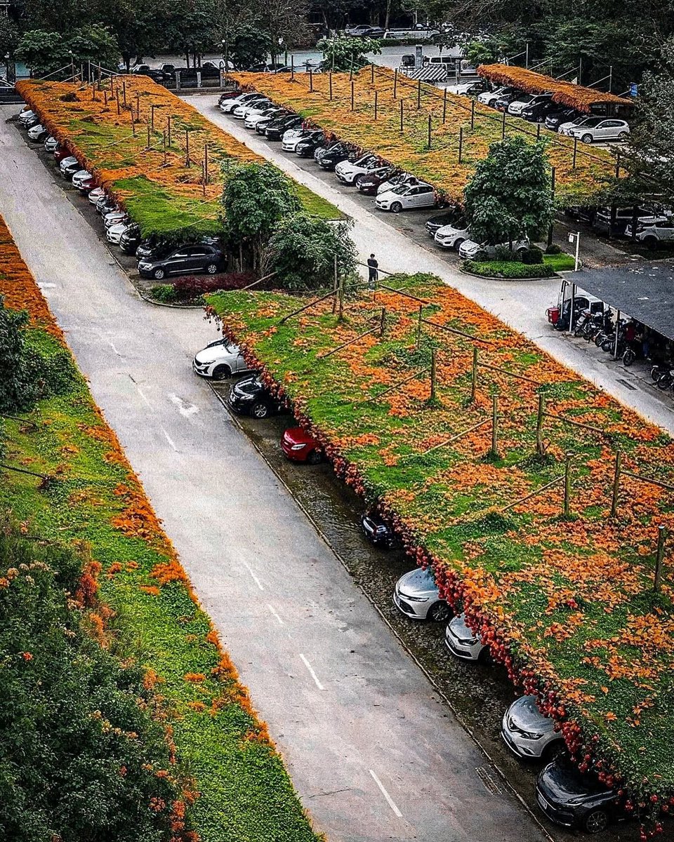 naturalbeautyi7's tweet photo. Japan is transforming car parks into floating gardens. https://t.co/bKZwzxv3rm