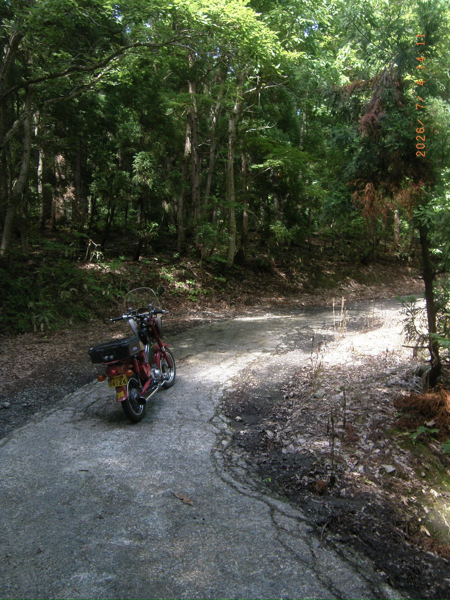 fukudaen's tweet photo. Motorcycle diaries 20260704

尾花沢から福舟峠を通って舟形町へ。
副舟峠はかなりすごい

続きは

https://t.co/n50ASjqrcX https://t.co/cpXO0IirJc