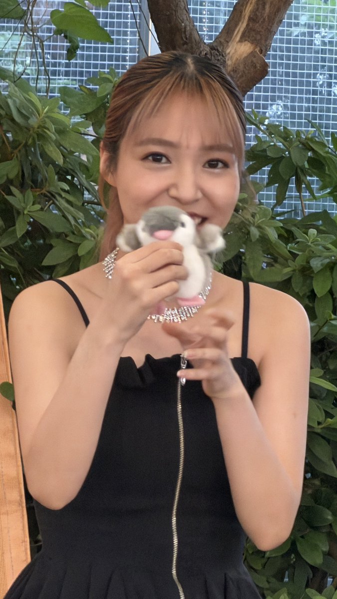 ji_0108's tweet photo. 横浜高島屋のビアガーデンにてyuka DD さんのステージを観てきました！
圧倒的な歌声とビアガーデンの開放的な雰囲気が最高にマッチしてて楽しすぎた😌
そして念願の初・ぺんたろうとも対面出来て大感激。めちゃくちゃ可愛かった😊
#yukaDD
#ぺんたろう https://t.co/j5CcOfGEcE