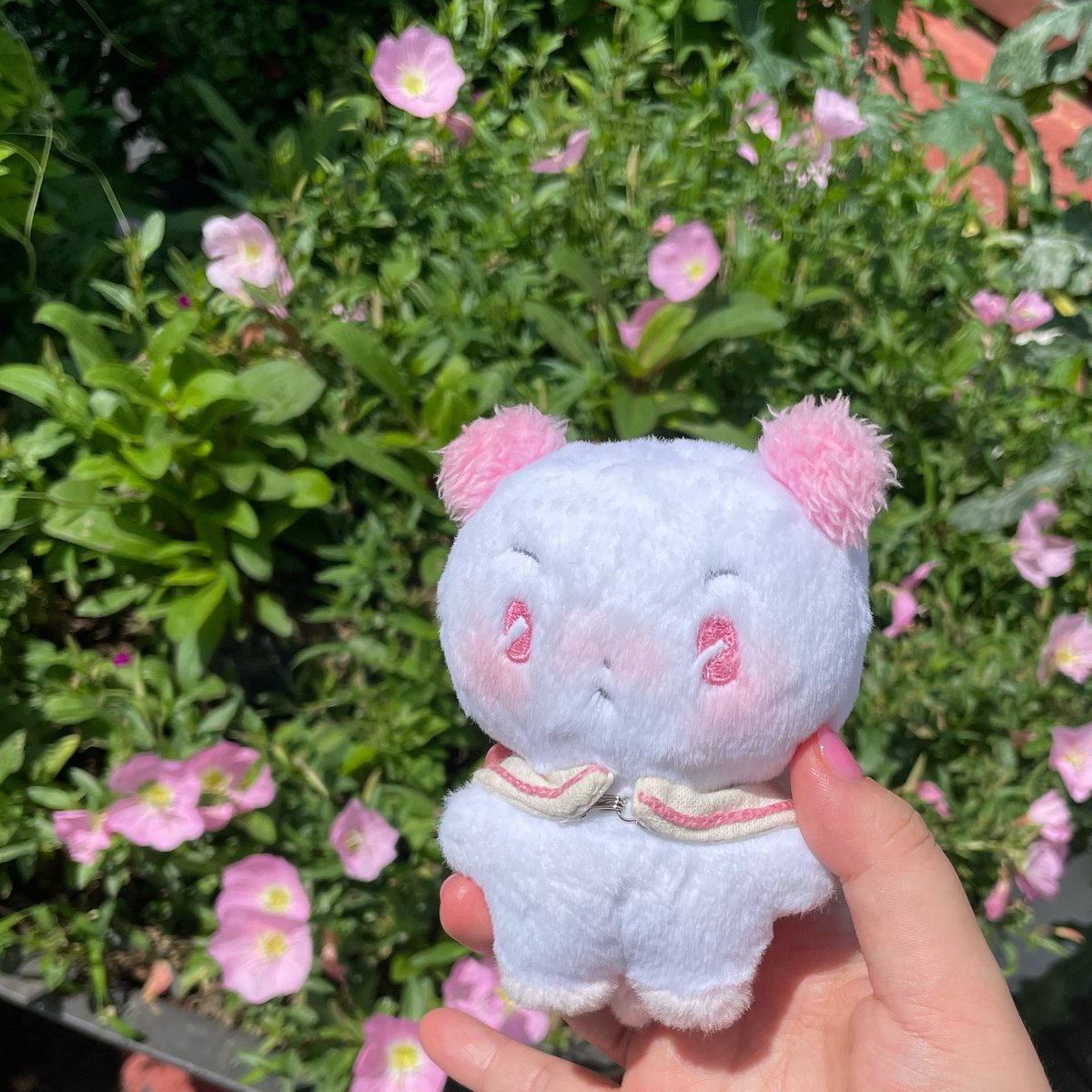 plli_2389's tweet photo. @rilucente912 더 예쁜 애 보여드려야지🌸 https://t.co/0kWuXmSI75