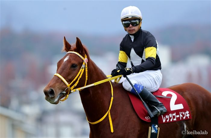 keibalab's tweet photo. 明日日曜の小倉7R・3歳未勝利ではエピファネイア産駒のファイティンアスクが中井裕二騎手を背にデビュー。

母は桜花賞馬レッツゴードンキ。これが3番子。日本の種牡馬と交配されるようになってから最初の子となります。
#ファイティンアスク #中井裕二 #レッツゴードンキ 
https://t.co/4NFRcEanqk https://t.co/pFAfe2A3fF