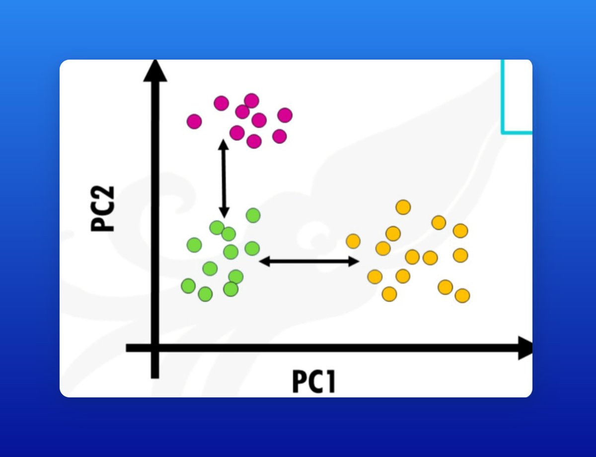tangming2005's tweet photo. 1/ Exploratory Data Analysis (EDA) is the first step in any data analysis journey.

When working with RNA-seq data, one of the most commonly used techniques is Principal Component Analysis (PCA).

But what exactly is PCA, and why does it matter? Let’s break it down. 🧵👇 https://t.co/2dPPvv78mz