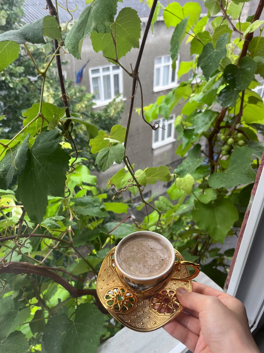 Mervenrozell's tweet photo. Yağmurlu günden 🌱💦 https://t.co/qojVOLgx0S