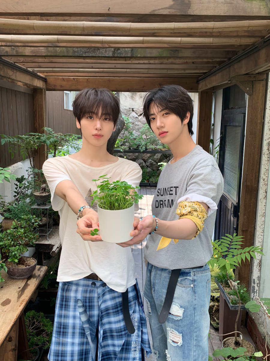 Dajeongham's tweet photo. https://t.co/sUEdNd7DMs