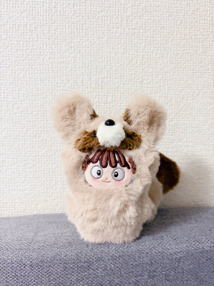 citori_27's tweet photo. たぬえもんは…
冬毛から夏毛になりました₍ᐢ⓿ᴥ⓿ᐢ₎

←before                                          after→ https://t.co/EpcFwTqNyw