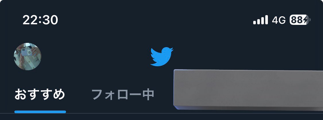 empty__000's tweet photo. お誕生日ポストお見かけしておめでとうリプ送ろうと思ったんだけど、送れなくて思い出した
わたしまだ青い鳥飼ってる🕊️

さすがにもう同志いないよね、🥹？ https://t.co/4Y2hlqltVn
