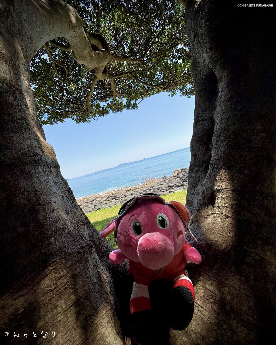 Jumbokun_GOJETS's tweet photo. この夏はどこへ行こうか。
#ジャンボくん #きみのとなり #スタッフ投稿 https://t.co/5x3ni2bpGz
