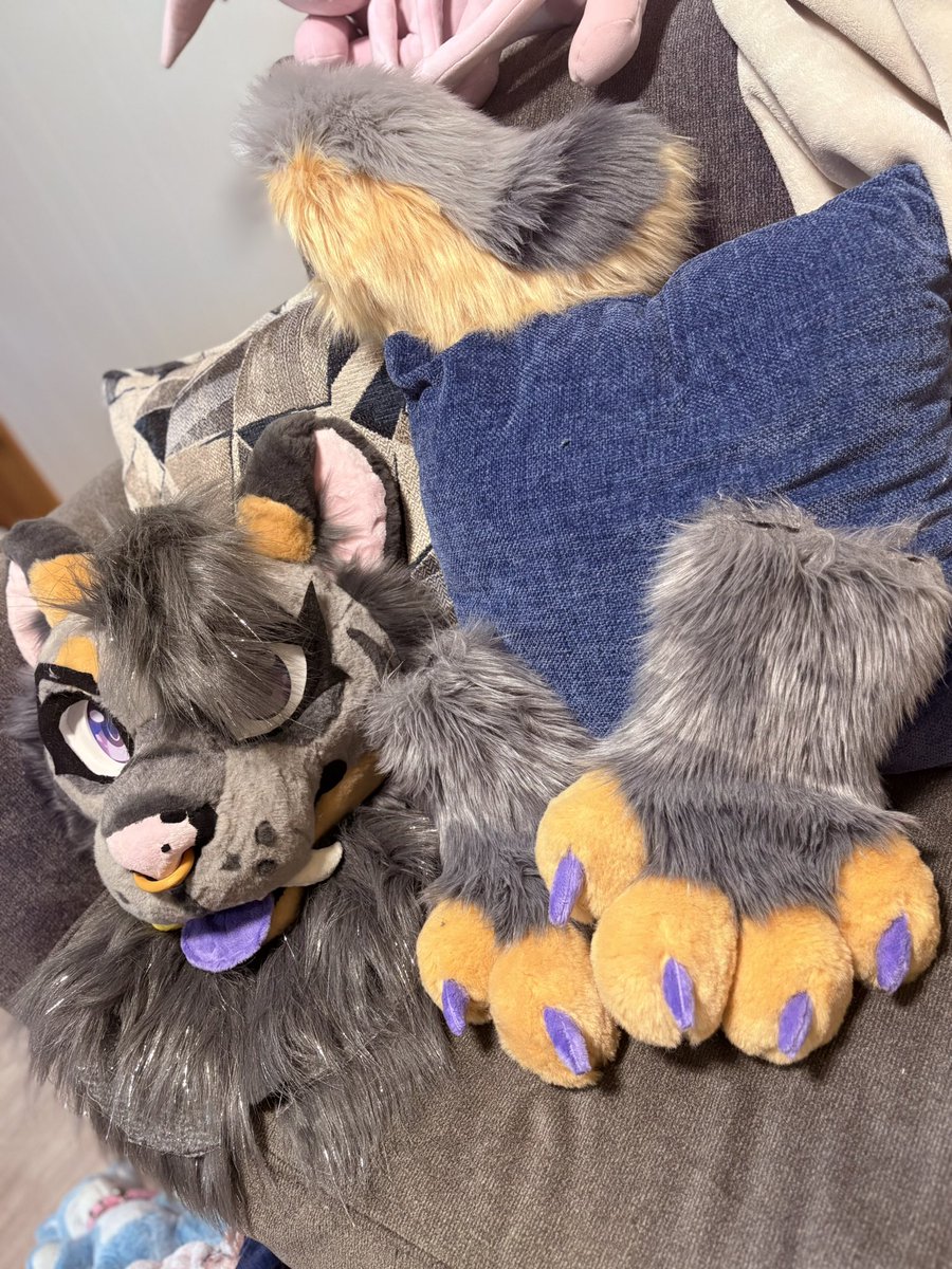 STR33TMUTT's tweet photo. Another cutie completed which was just in time for AC! She is in great hands with her new owner as they embark on new adventures! 💞

Meet our first official feline, Denali 🌟

#furry #fursuitmaker #furryart #fursuit #furryartist #furryfandom https://t.co/BhdjZlultX