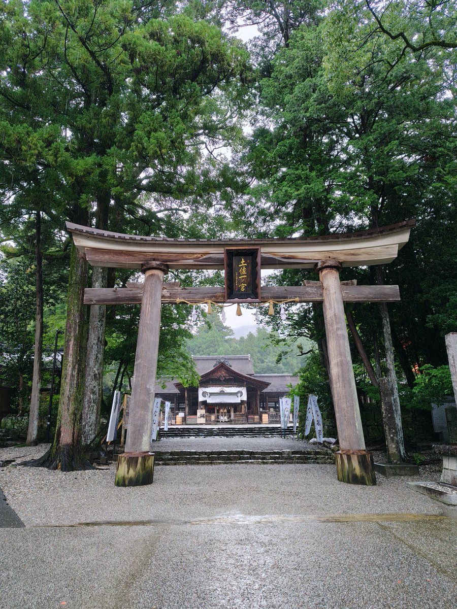 mfbgnm0518's tweet photo. たぶん、うどん屋さんに寄らなかったから🥺
次回は、神社→うどん屋→競馬場の黄金コースで🤫 https://t.co/GRuo3ZLFZr