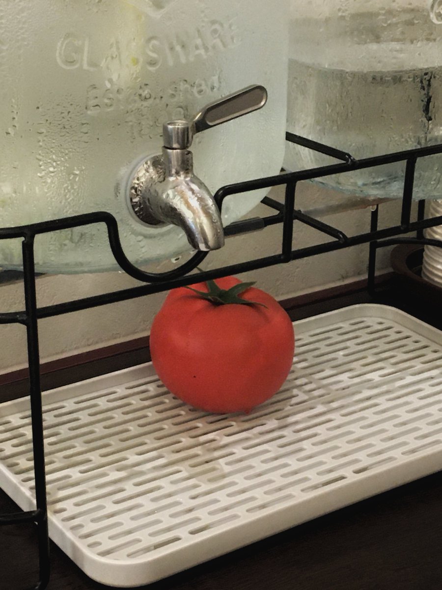 0x134b048's tweet photo. 와가야노토마토 재방문₍ˆ-⤙-ˆ₎🍅 https://t.co/5SA5ZnnEHz
