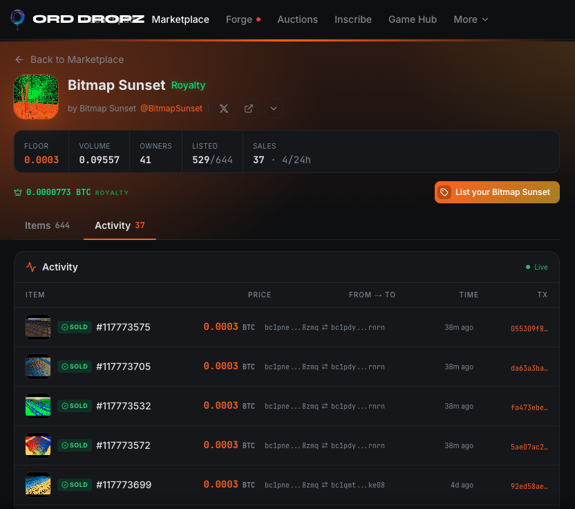 BitmapSunset 🟧🌇 tweet media
