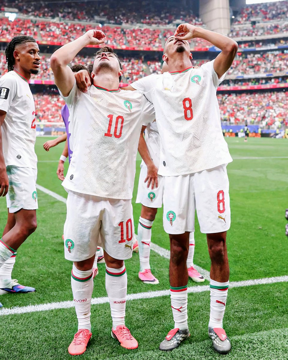 SubtleNg's tweet photo. The Pride of Africa 🌟🦁🌍
#fifaworldcup https://t.co/aWUemJPj85
