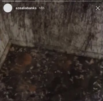ReddCinema's tweet photo. 9 years ago Azealia Banks revealed to the public that she had been sacrificing chickens in her closet… https://t.co/Abj71eOWA4